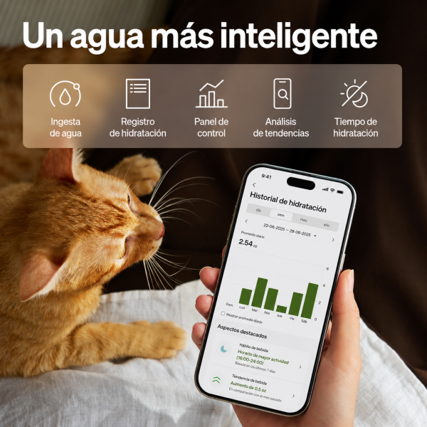 Fuente Inteligente para Gatos PETLIBRO Upgrade a Batería