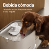 Fuente de Agua Silenciosa para Perros PETLIBRO con Bandeja de Acero Inoxidable
