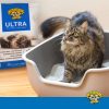 product_image_41 Dr. Elsey's Ultra UnScented Clumping Clay Cat Litter