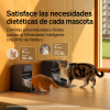 PETLIBRO RFID Smart Feeder for Cats