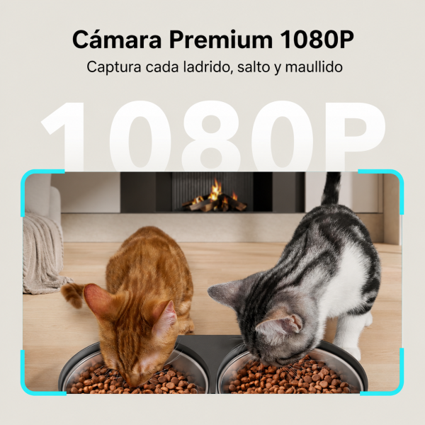 PETLIBRO Smart Feeder with Camera for Two Cats