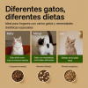 PETLIBRO RFID Smart Feeder for Cats